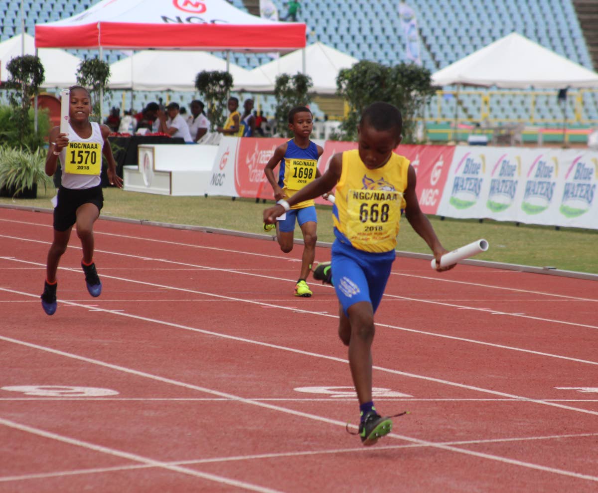 Cougars on course for Juvenile Champs title