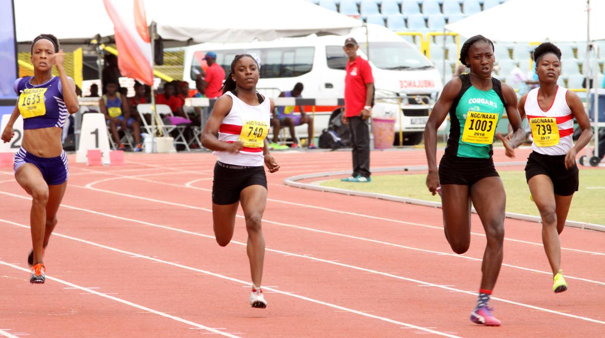 Stewart claims shot put gold at Hampton Games