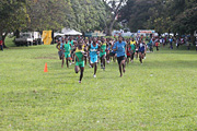 NAAA Cross Country Championships 2011