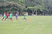 NAAA Cross Country Championships 2011