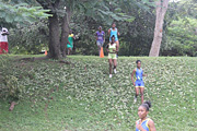 NAAA Cross Country Championships 2011