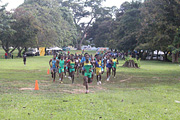 NAAA Cross Country Championships 2011