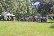 NAAA Cross Country Championships 2011