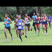 NAAA Cross Country Series POS Decsmber 2013