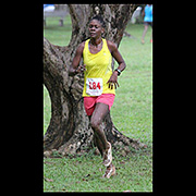 NAAA Cross Country Series POS Decsmber 2013