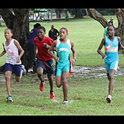 NAAA Cross Country Series POS Decsmber 2013