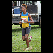 NAAA Cross Country Series POS Decsmber 2013