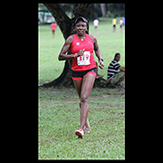 NAAA Cross Country Series POS Decsmber 2013