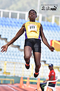 NAAA Carifta Trials